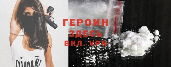 индика Беломорск