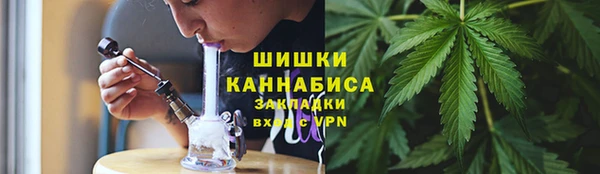индика Беломорск