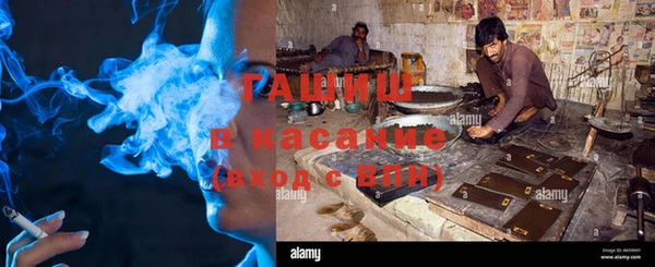 индика Беломорск