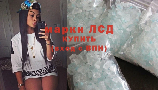 индика Беломорск