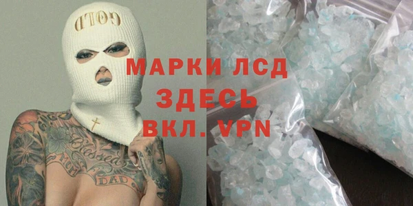 индика Беломорск